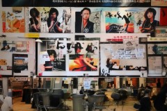 VCT冠军赛英雄池深度解析：未登场英雄背后的战术体系与版本适应性